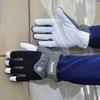 Gloves Freezemaster II Size 10